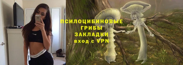 крисы Алексеевка