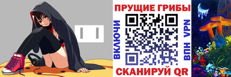 Псилоцибиновые грибы ЛСД  MEGA как войти  Камышин 