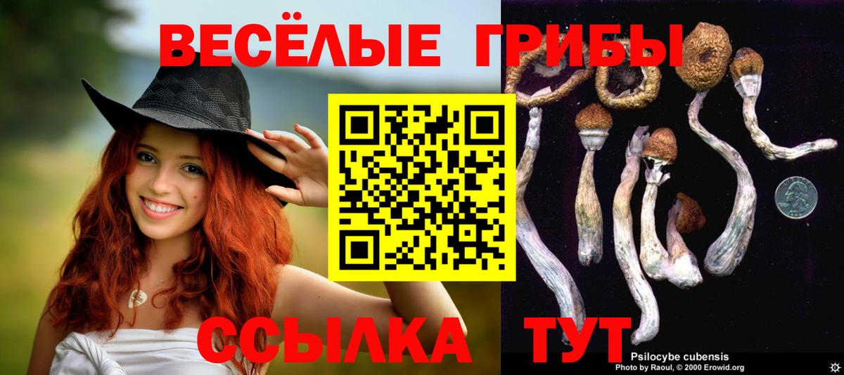 Камышин  Галлюциногенные грибы MAGIC MUSHROOMS  Вход с VPN 