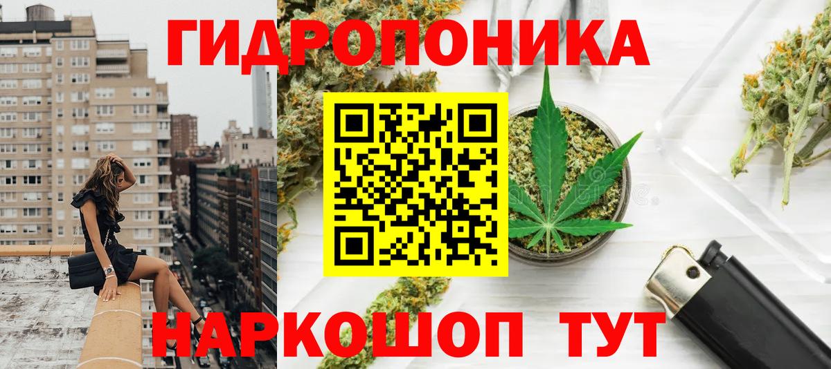 Камышин  МАРИХУАНА тримм  Бошки Шишки ГИДРОПОН  Бошки марихуана White Widow  Шишки марихуана AK-47  Вход с VPN 
